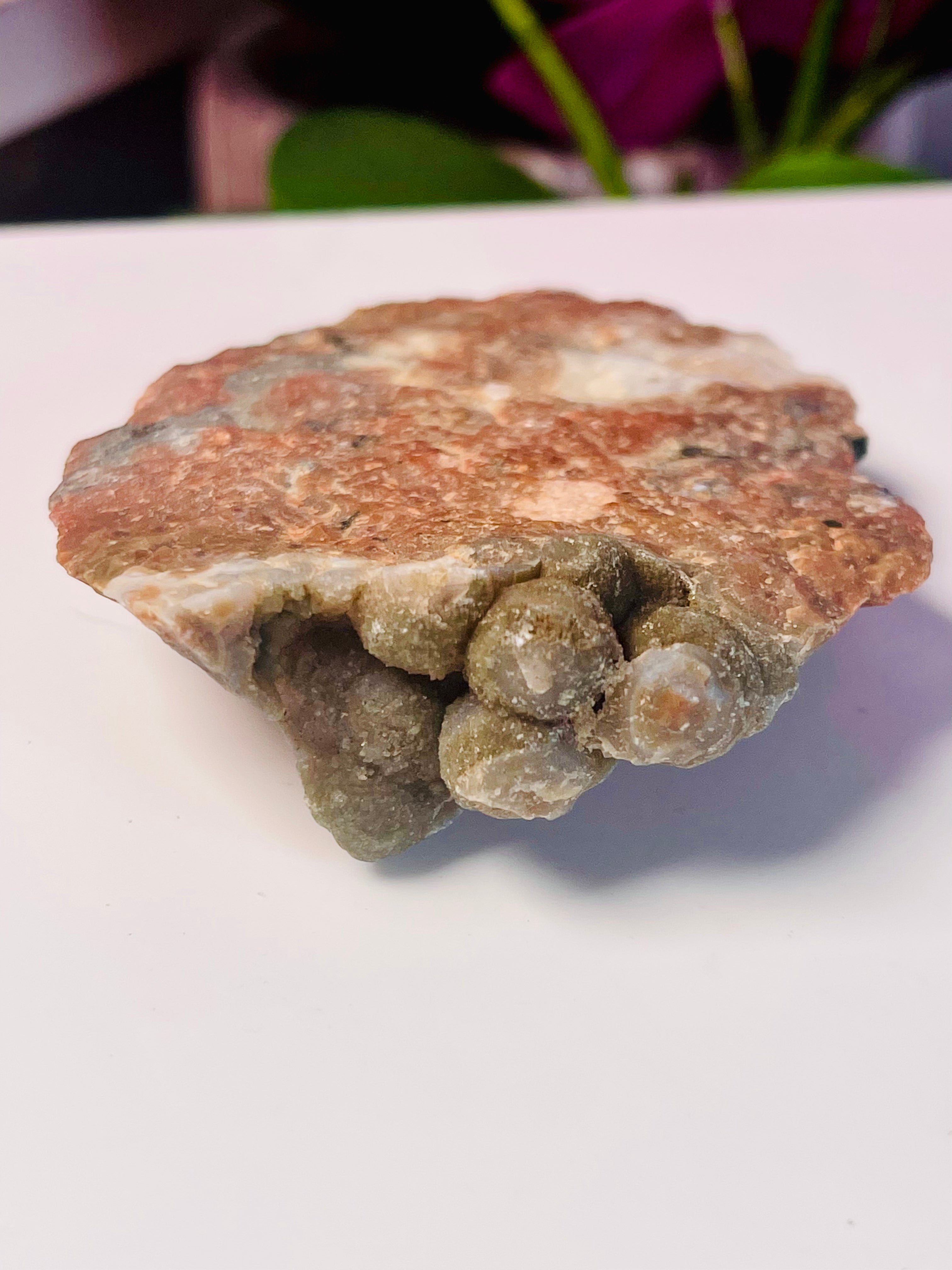 Raw Ocean Jasper Slab| Druse | OJ19