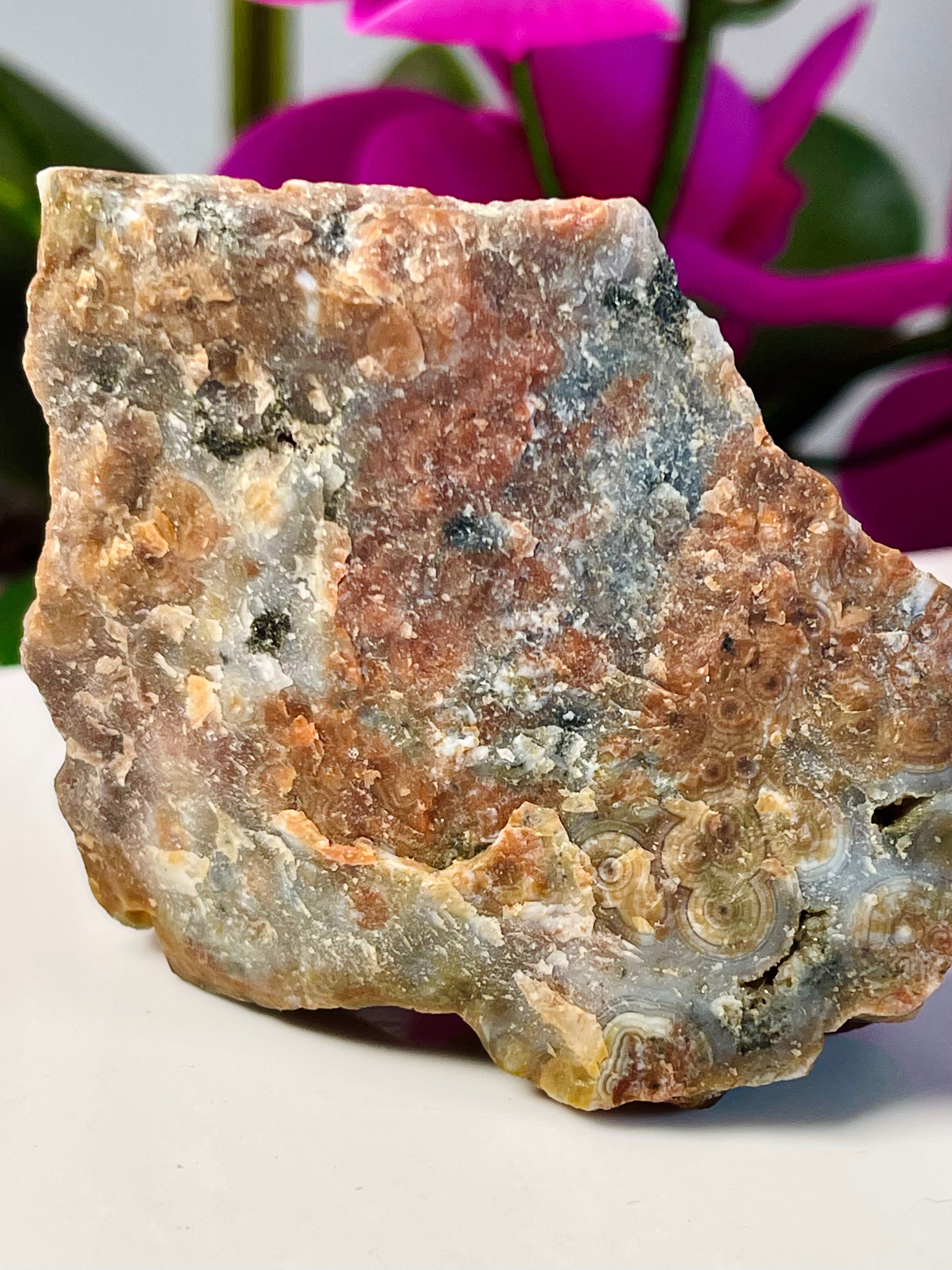 Raw Ocean Jasper Slab| Self Stands | Druse | OJ20