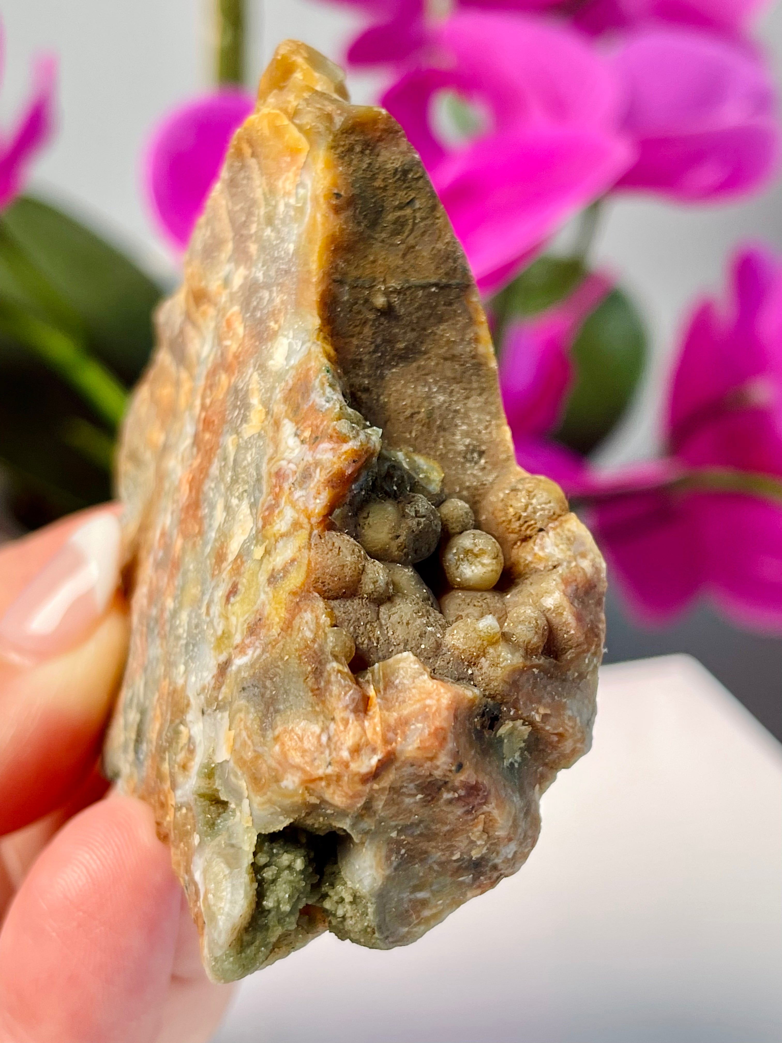 Raw Ocean Jasper Slab| Self Stands | Druse | OJ20