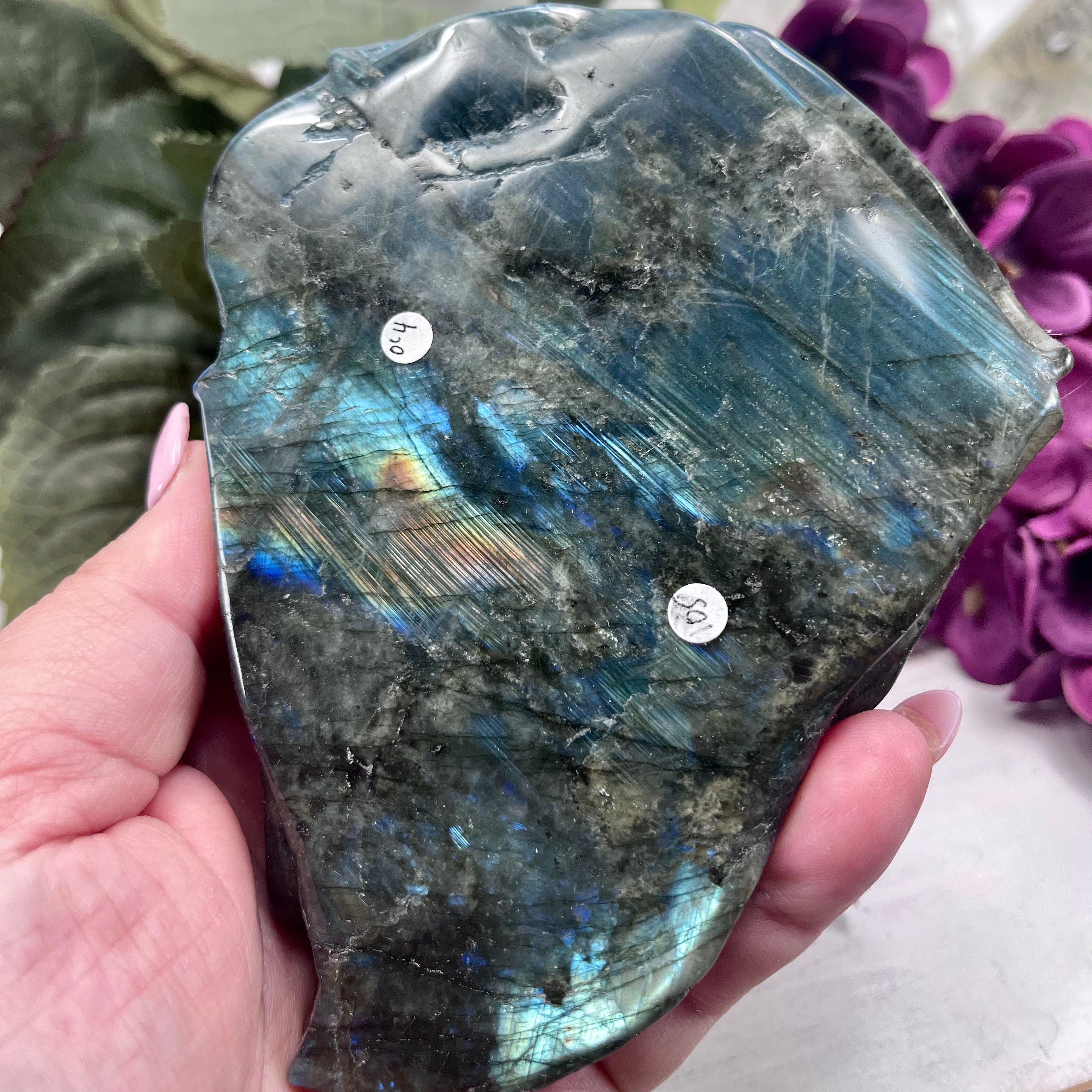 Labradorite Octopus Carving | OC4