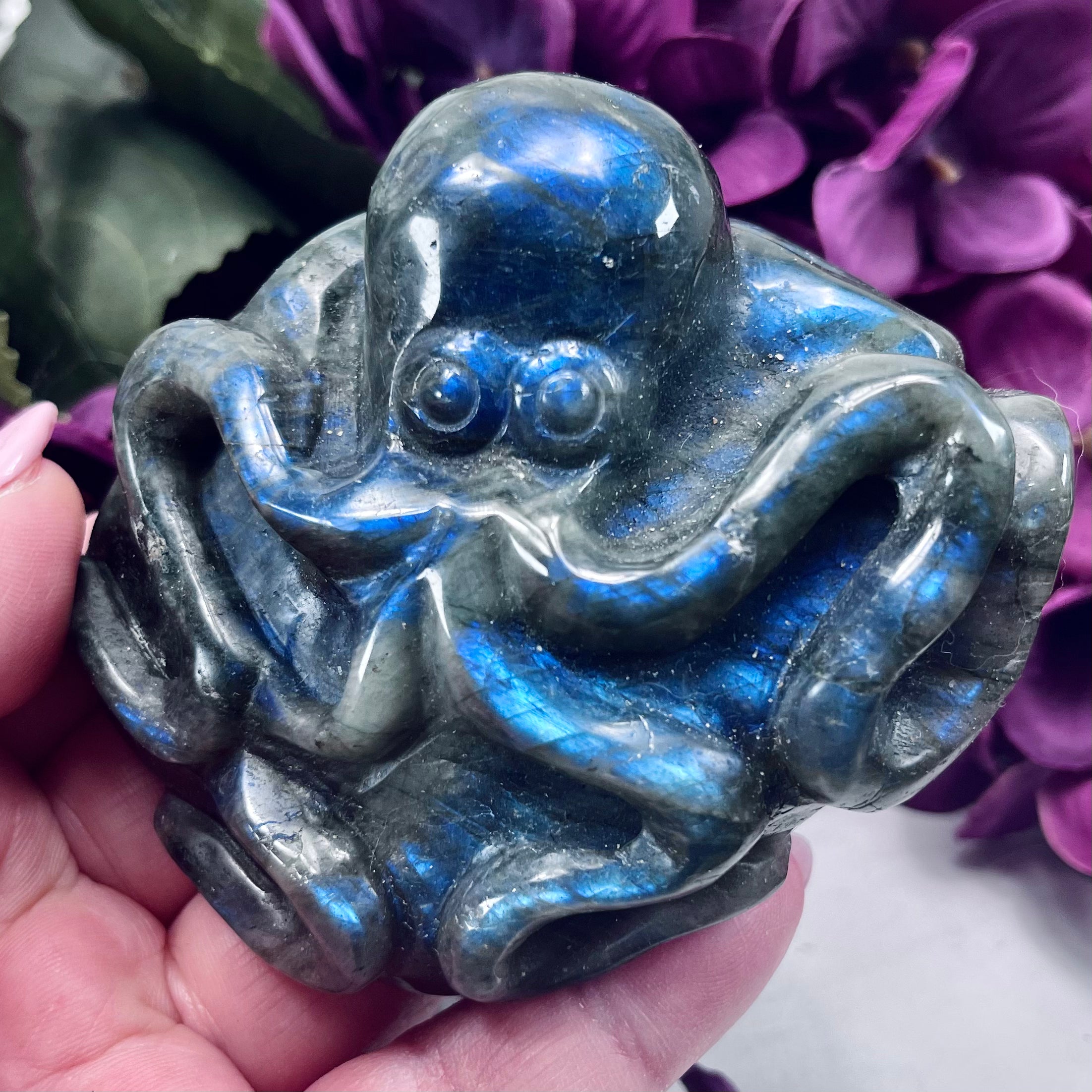 Labradorite Octopus Carving | OC17