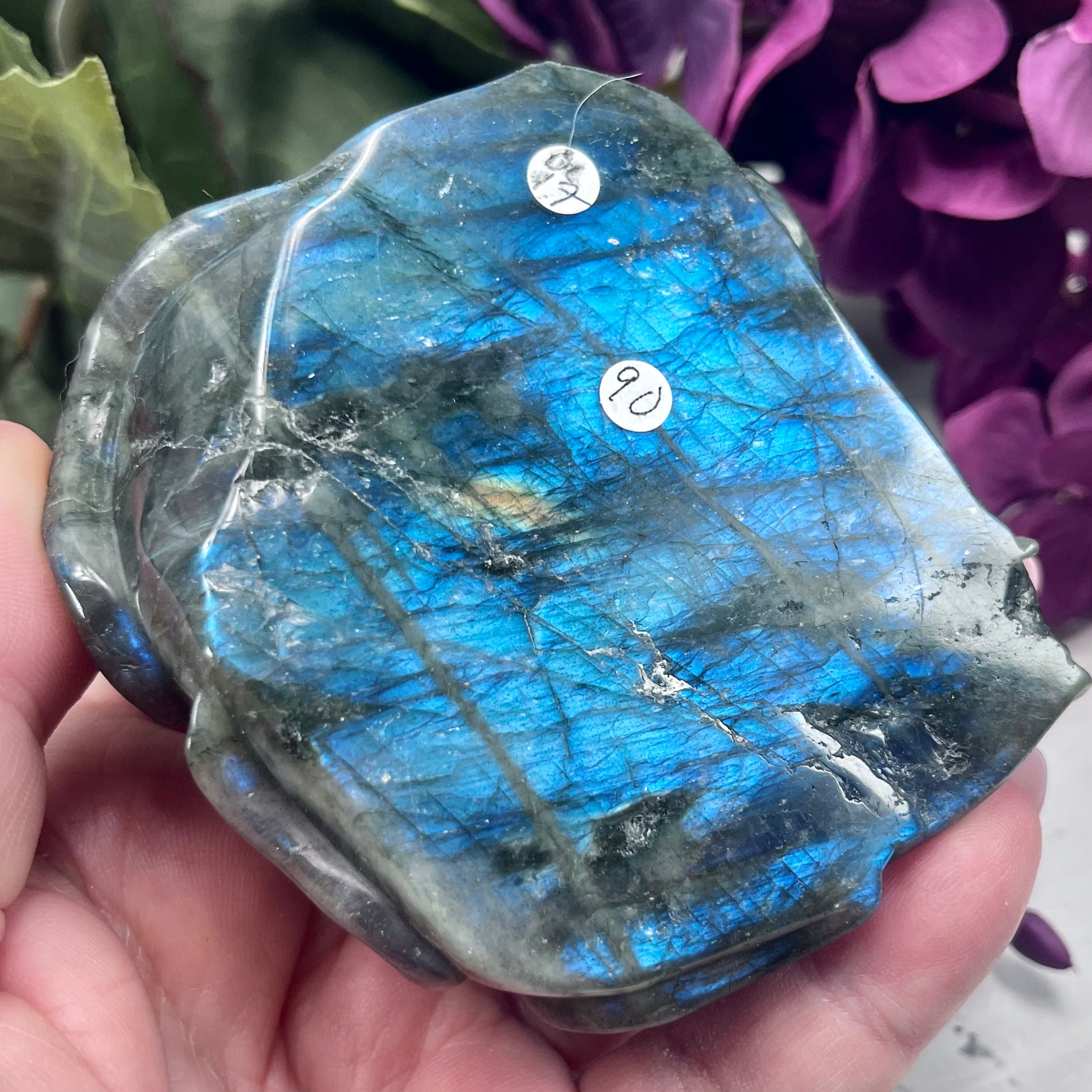 Labradorite Octopus Carving | OC17