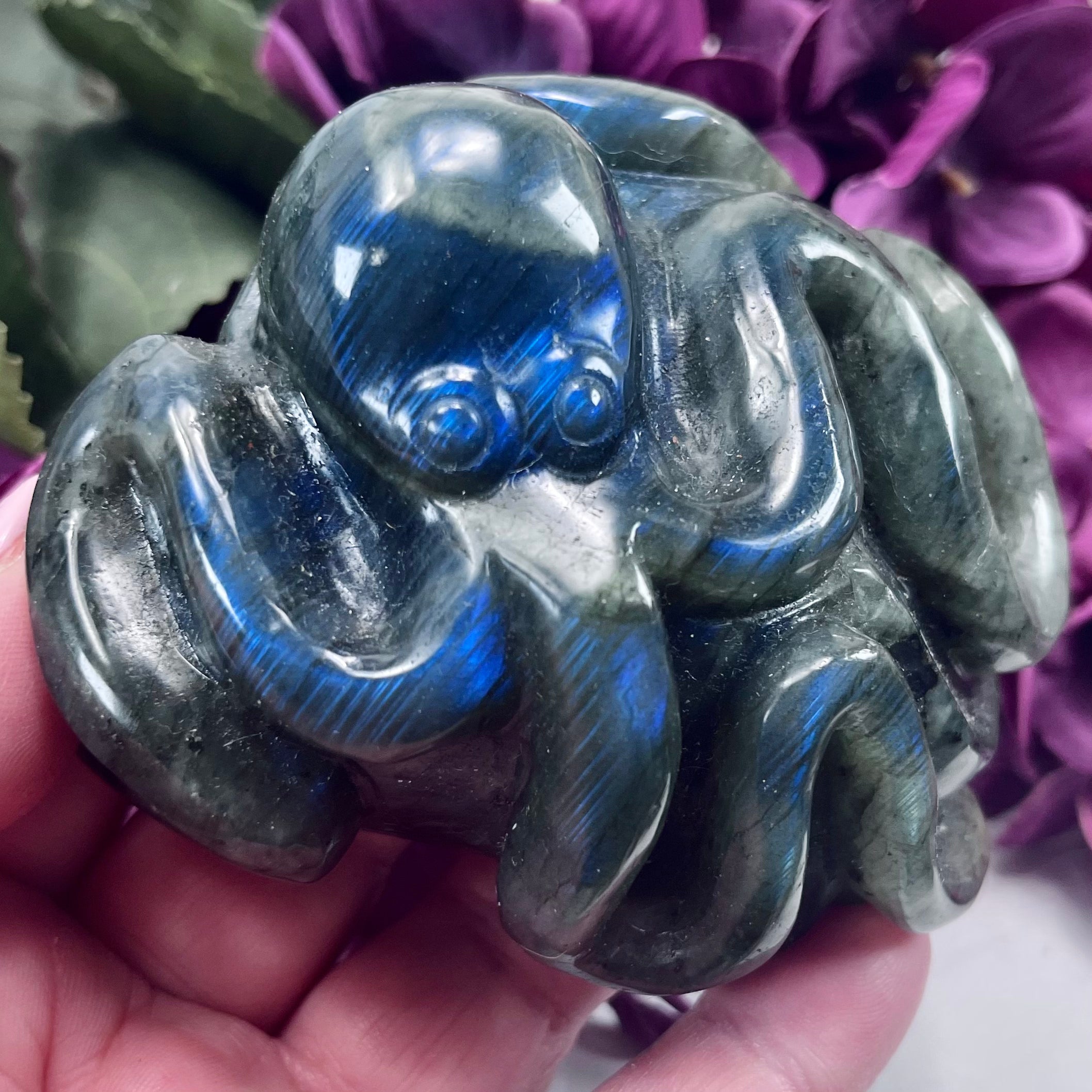 Labradorite Octopus Carving | OC7