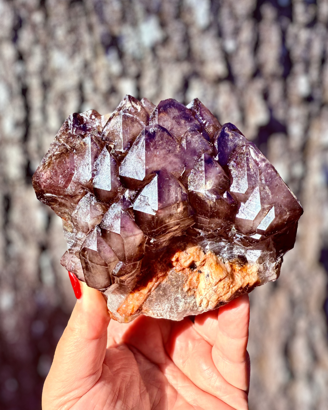 RARE | Smoky Amethyst Elestial | Trigon