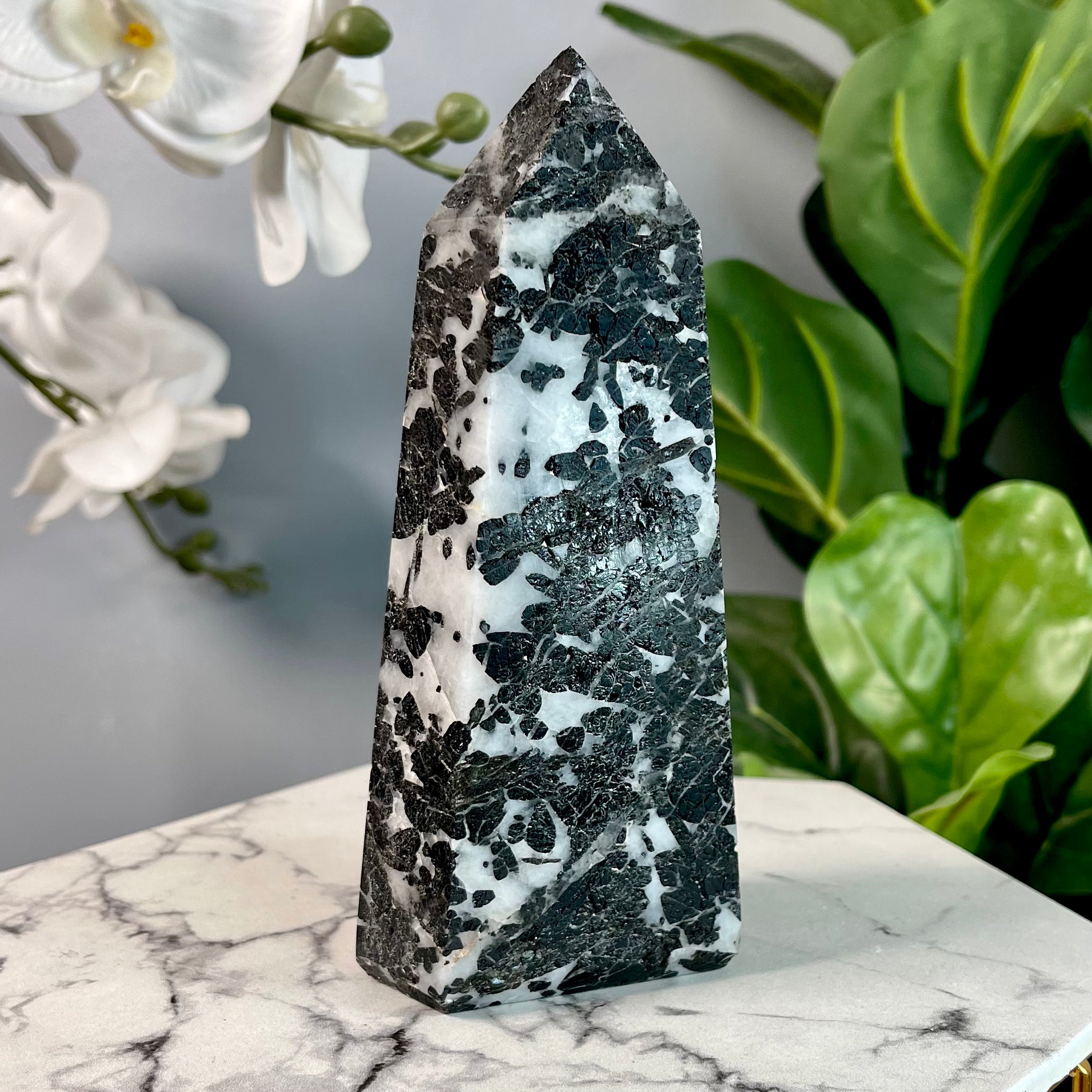 Black Tourmaline in Quartz | Protection | T6