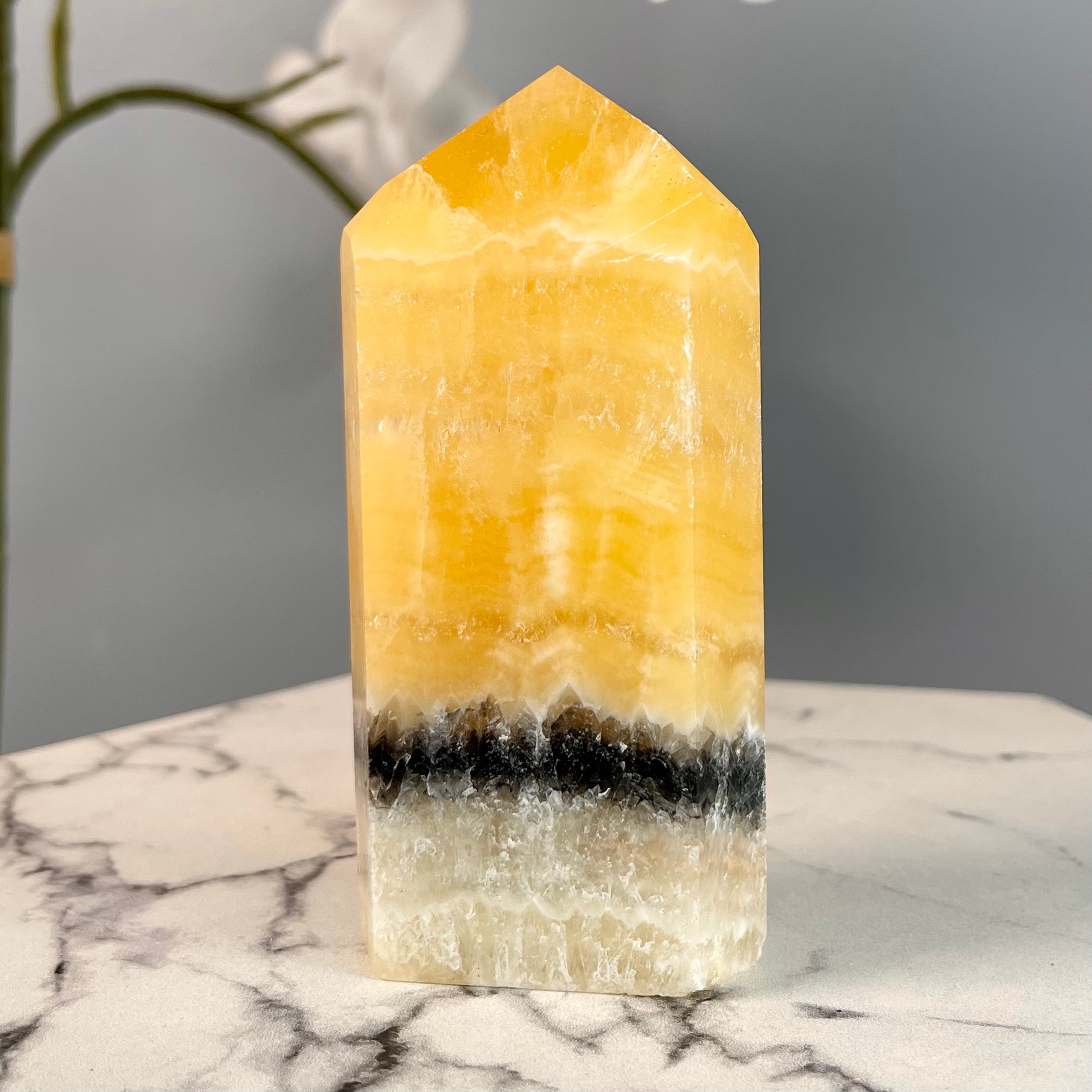 Bumblebee Calcite | Positivity | B9