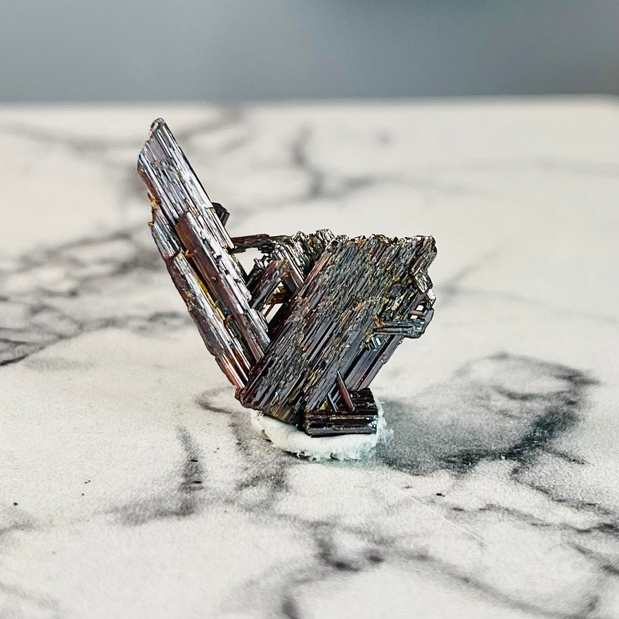 "Sagenite" Rutile | AAA Grade | Wisdom | R5