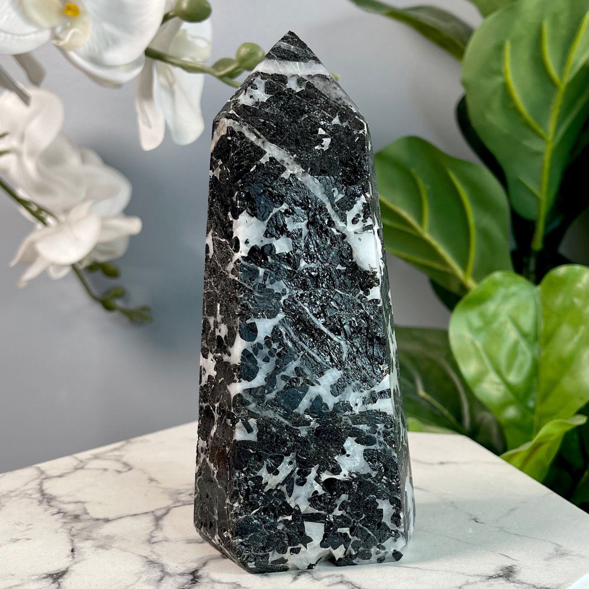 Black Tourmaline in Quartz | Protection | T6