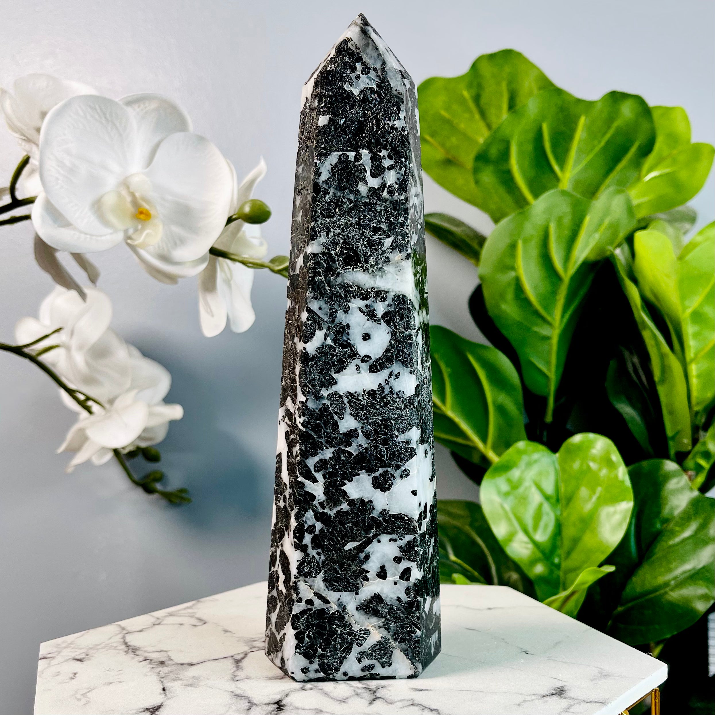 Black Tourmaline in Quartz | Protection | T2