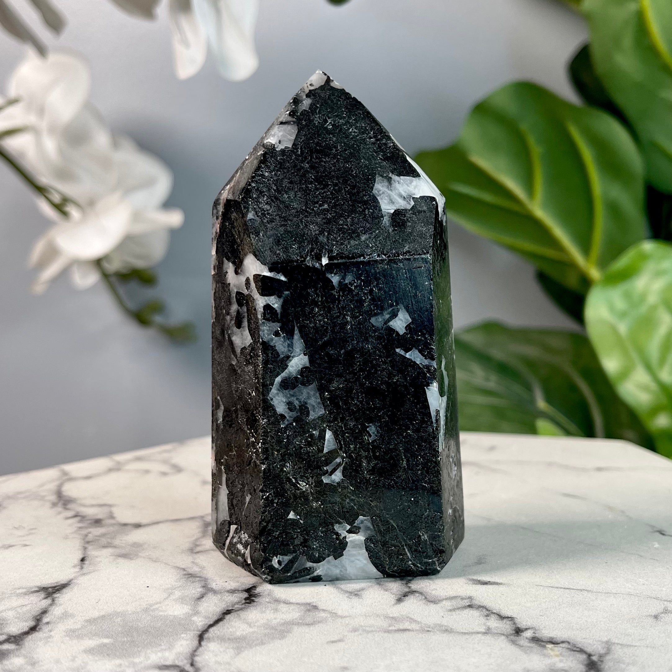 Black Tourmaline in Quartz | Protection | T10