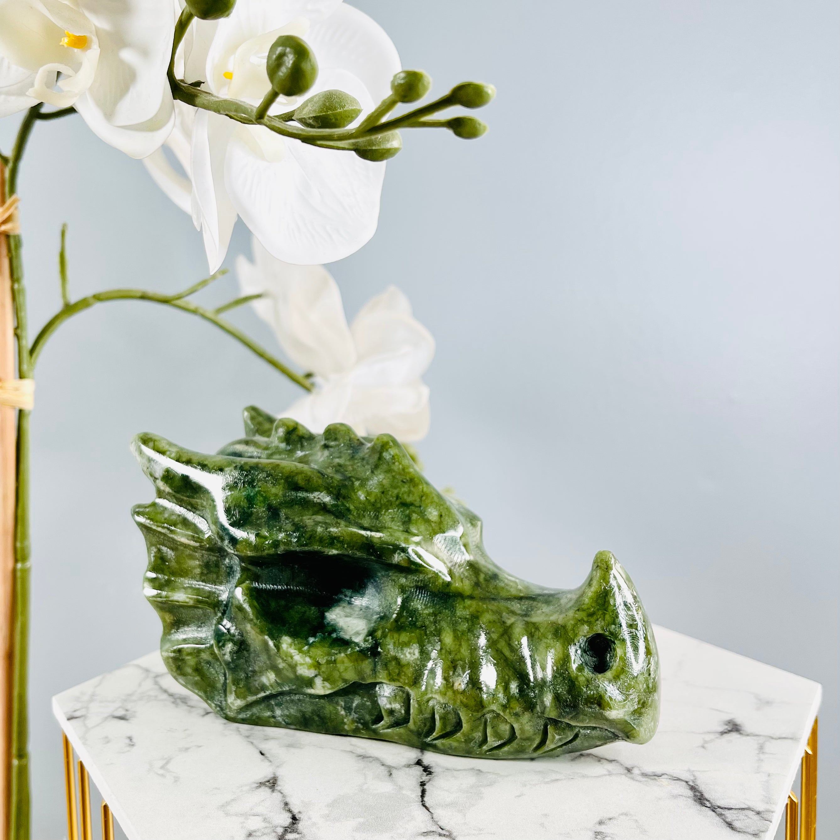 Jade Water Dragon Skull | 01