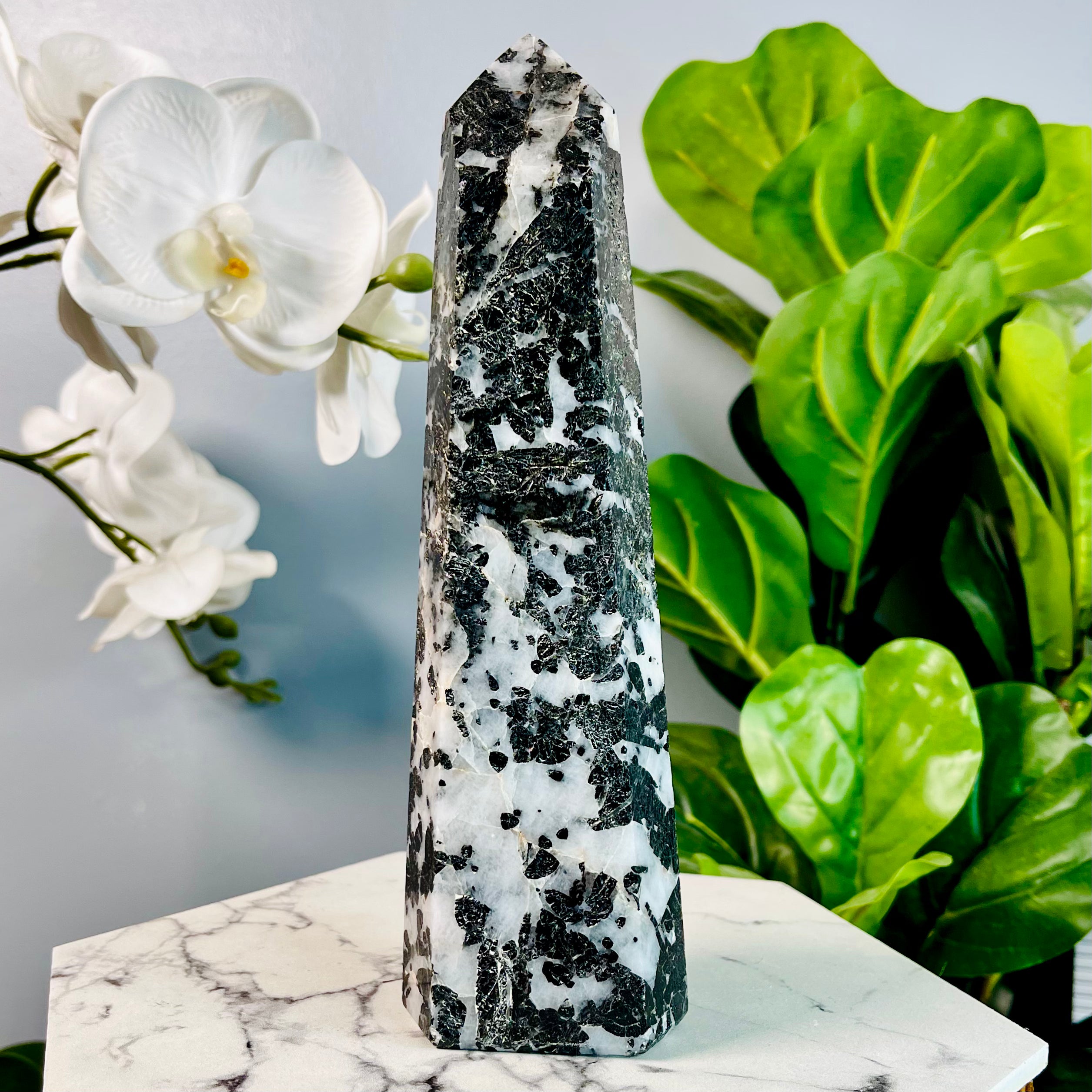 Black Tourmaline in Quartz | Protection | T2