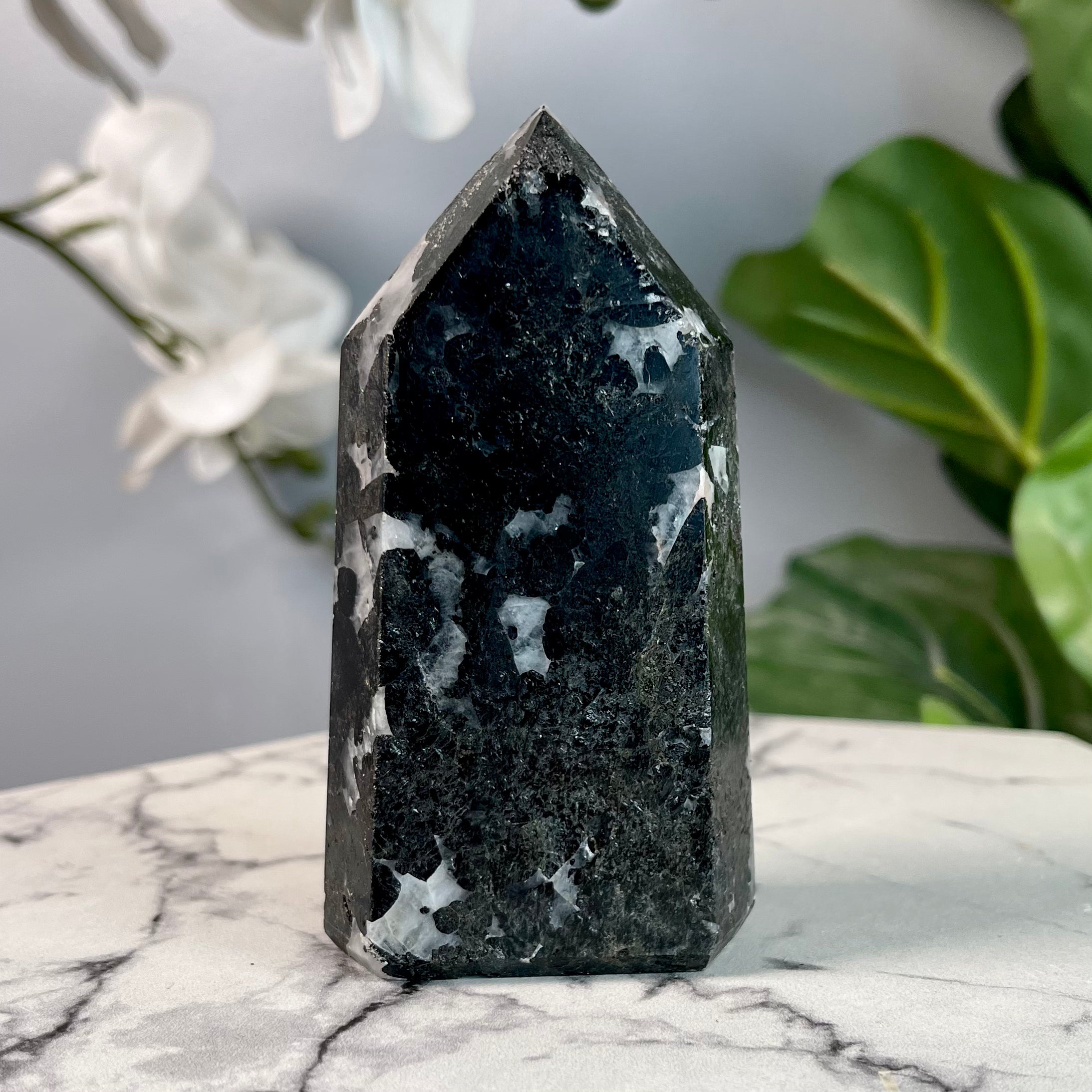 Black Tourmaline in Quartz | Protection | T10