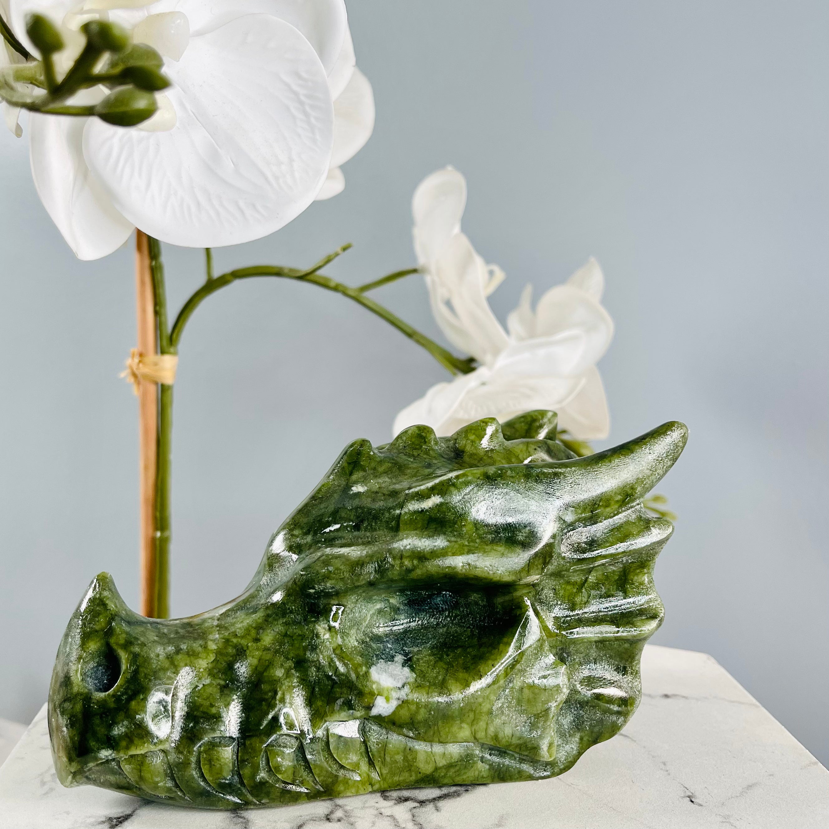 Jade Water Dragon Skull | 01