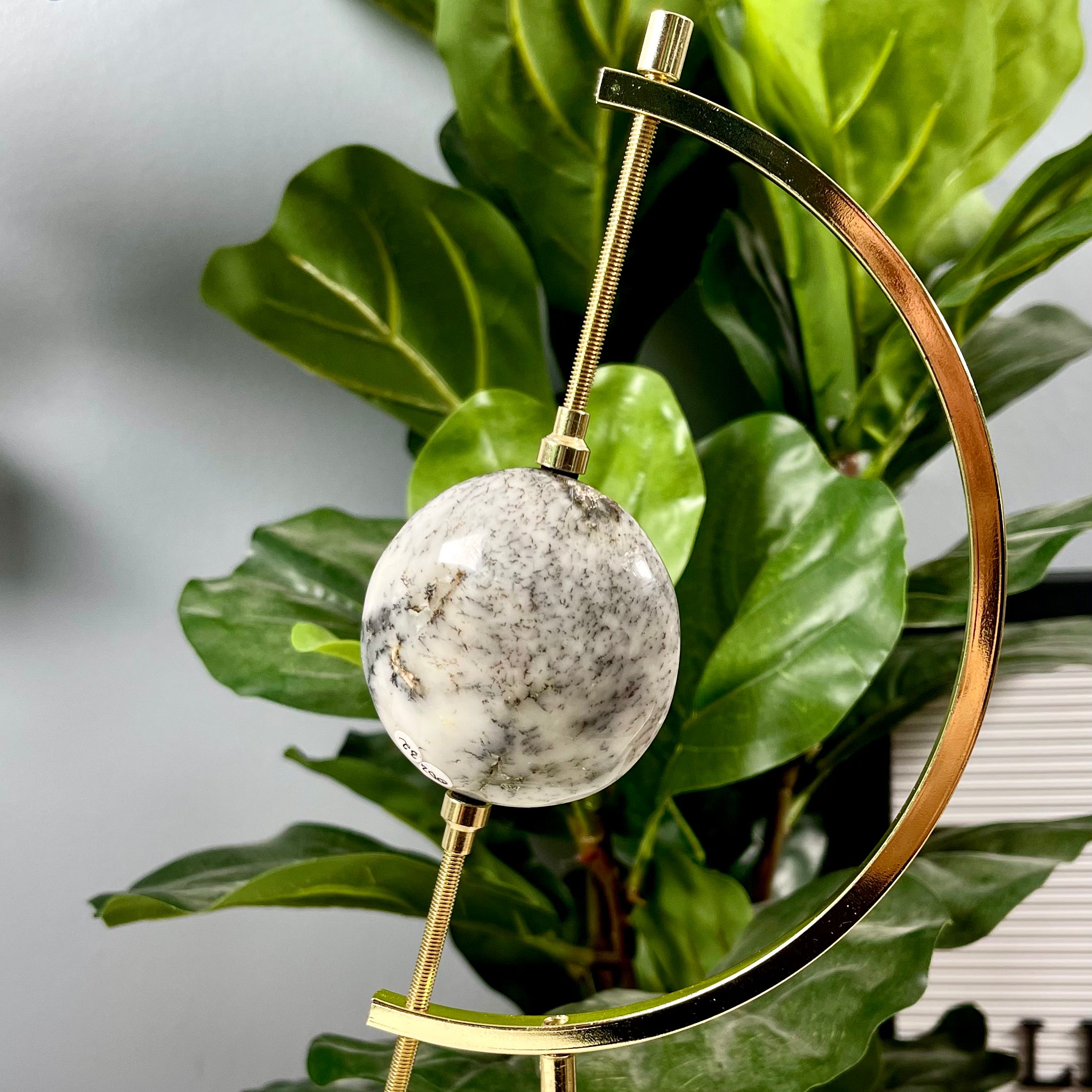 Rare Dendritic Opal | Spiritual Awakening | OD2