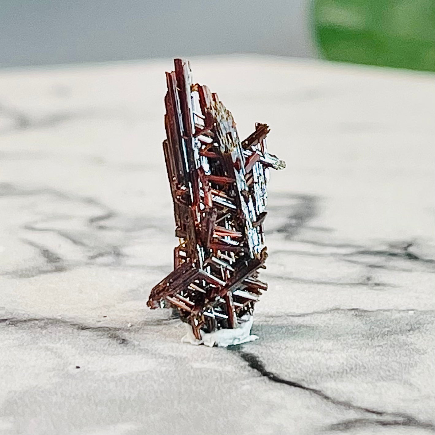 "Sagenite" Rutile | AAA Grade | Wisdom | R8