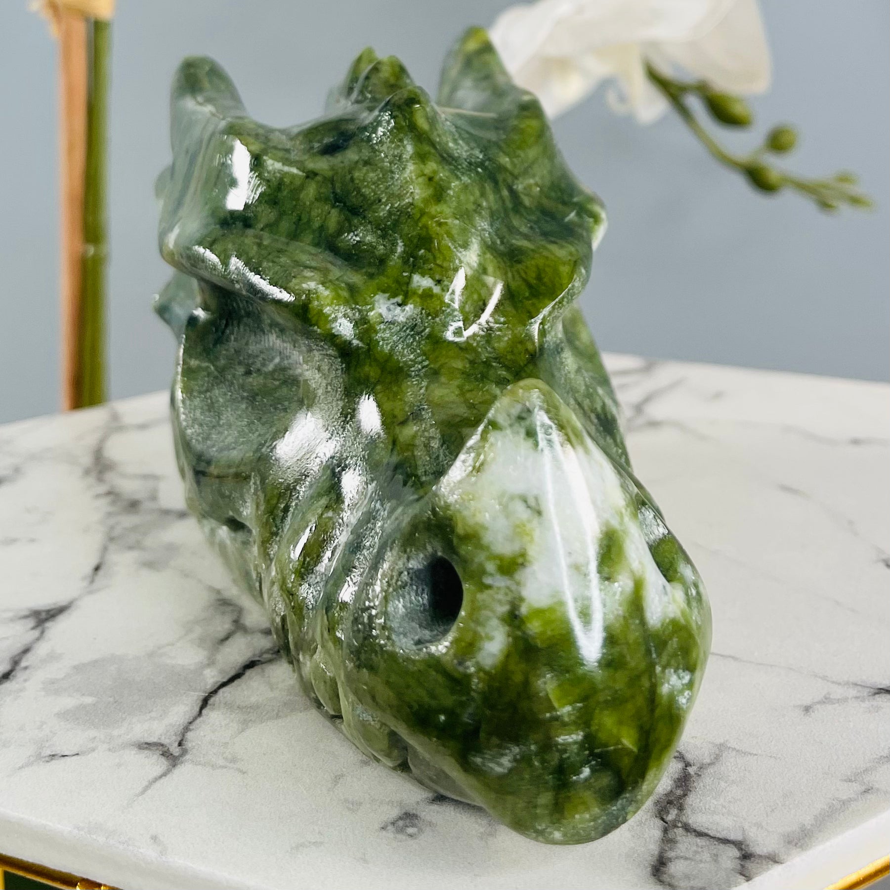 Jade Water Dragon Skull | 02