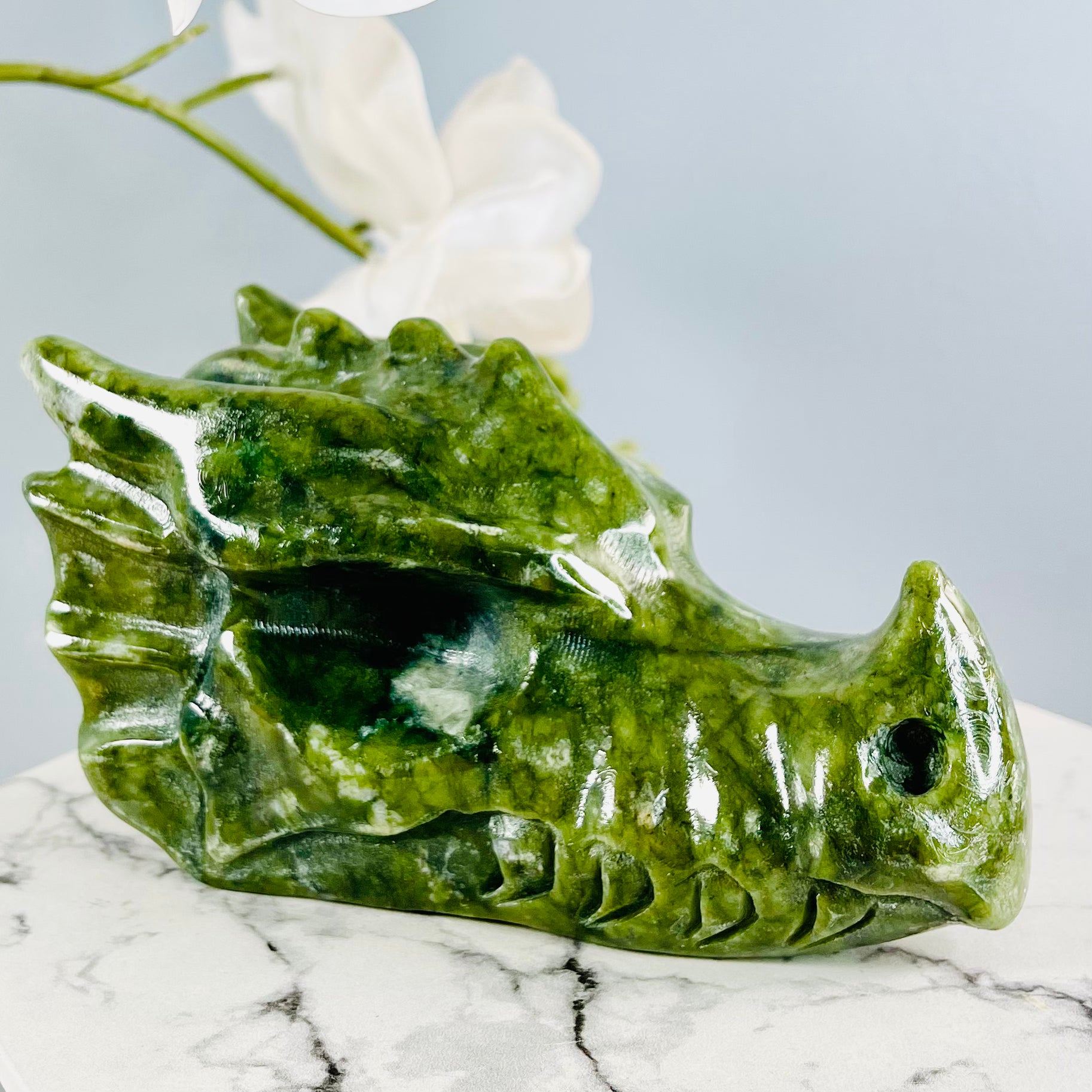 Jade Water Dragon Skull | 01