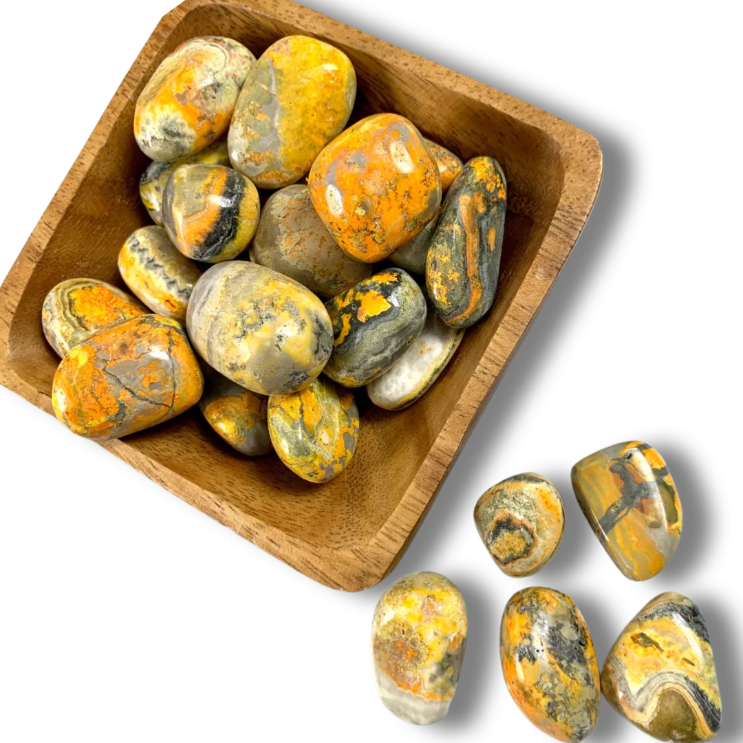 Bumble Bee Jasper Tumbles | Positivity