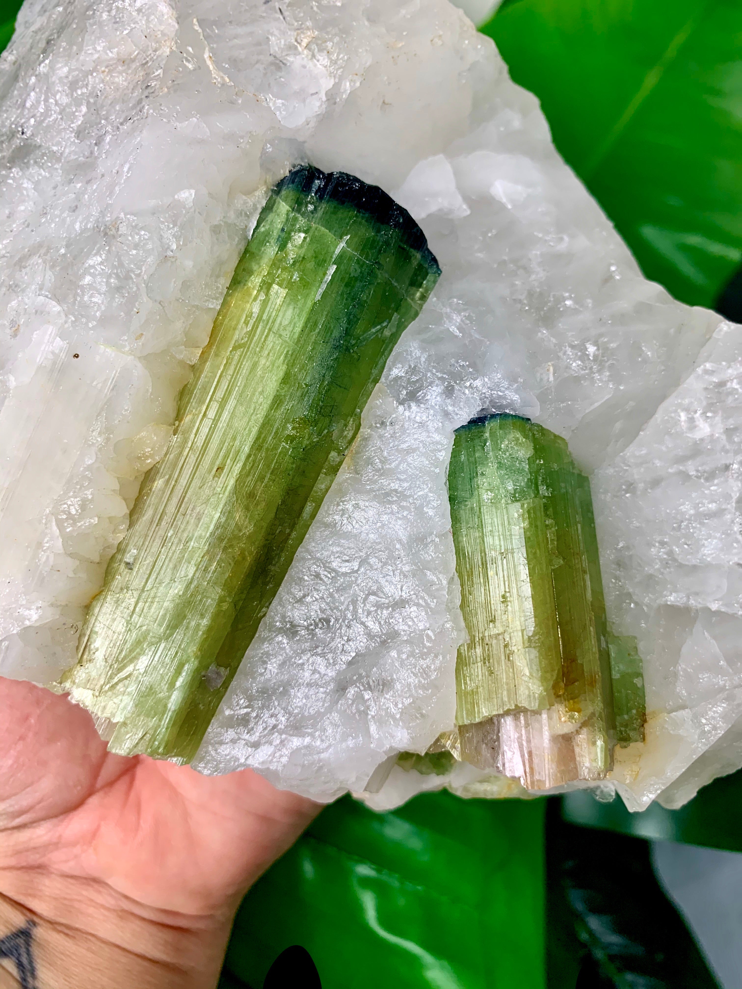 Watermelon Tourmaline (Self-Standing)