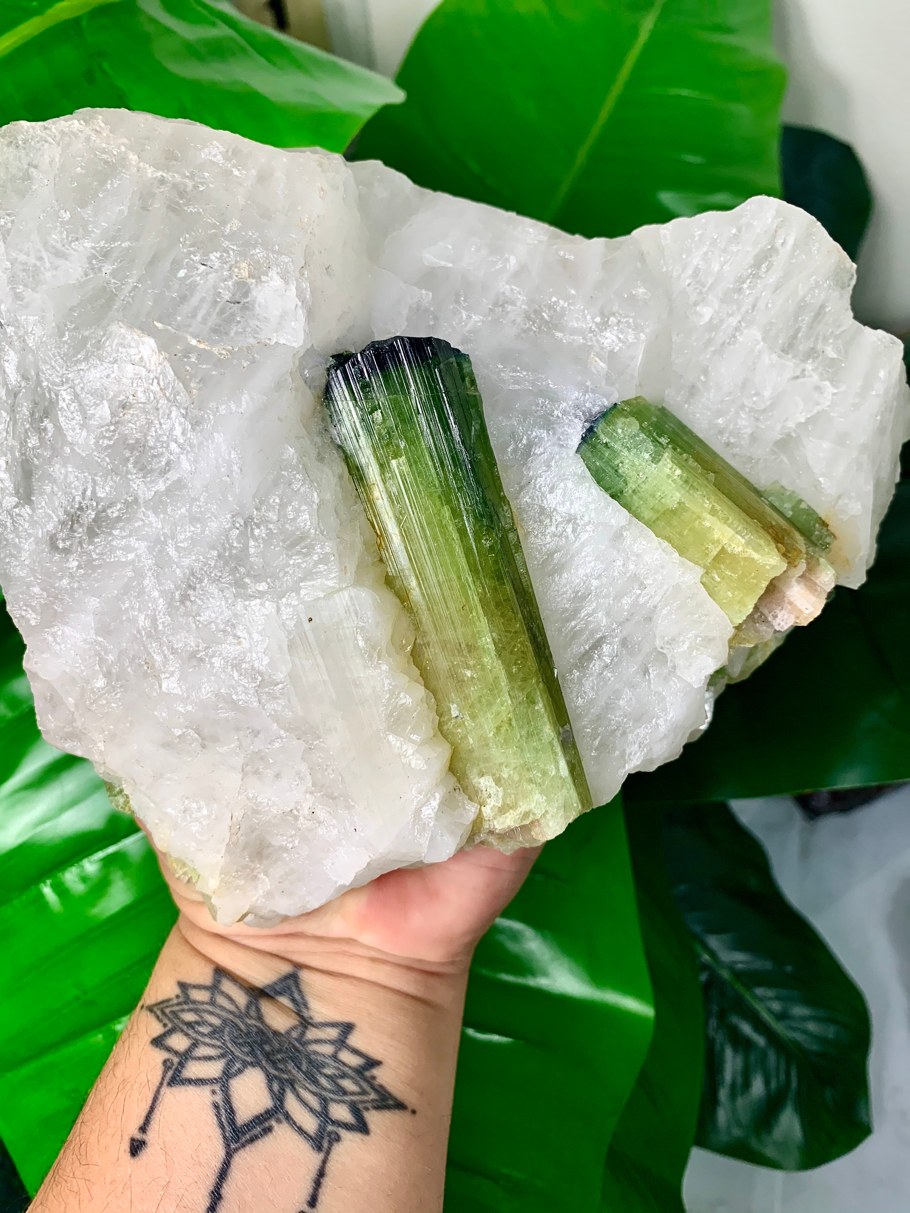 Watermelon Tourmaline (Self-Standing)