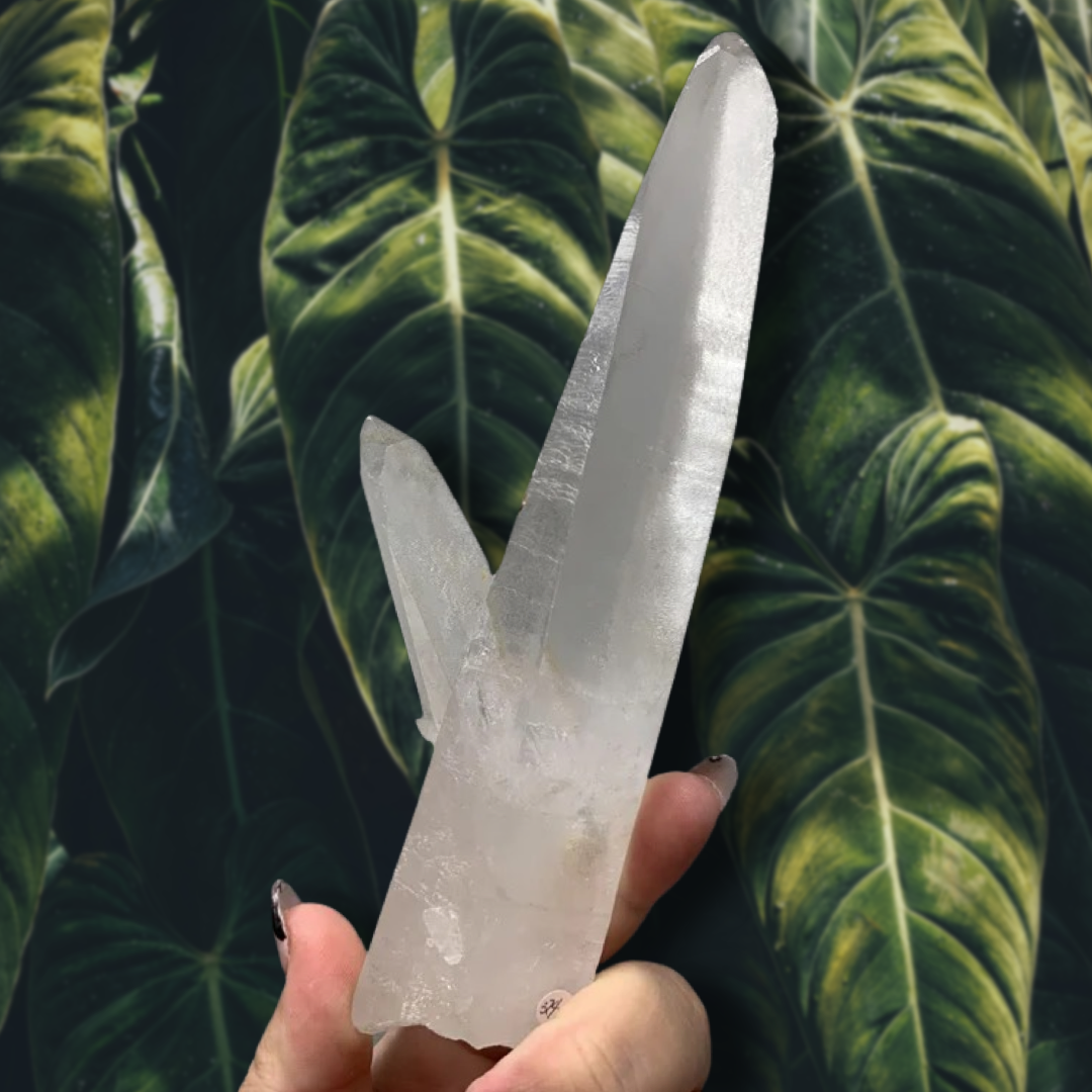 Corinto Lemurian CL6