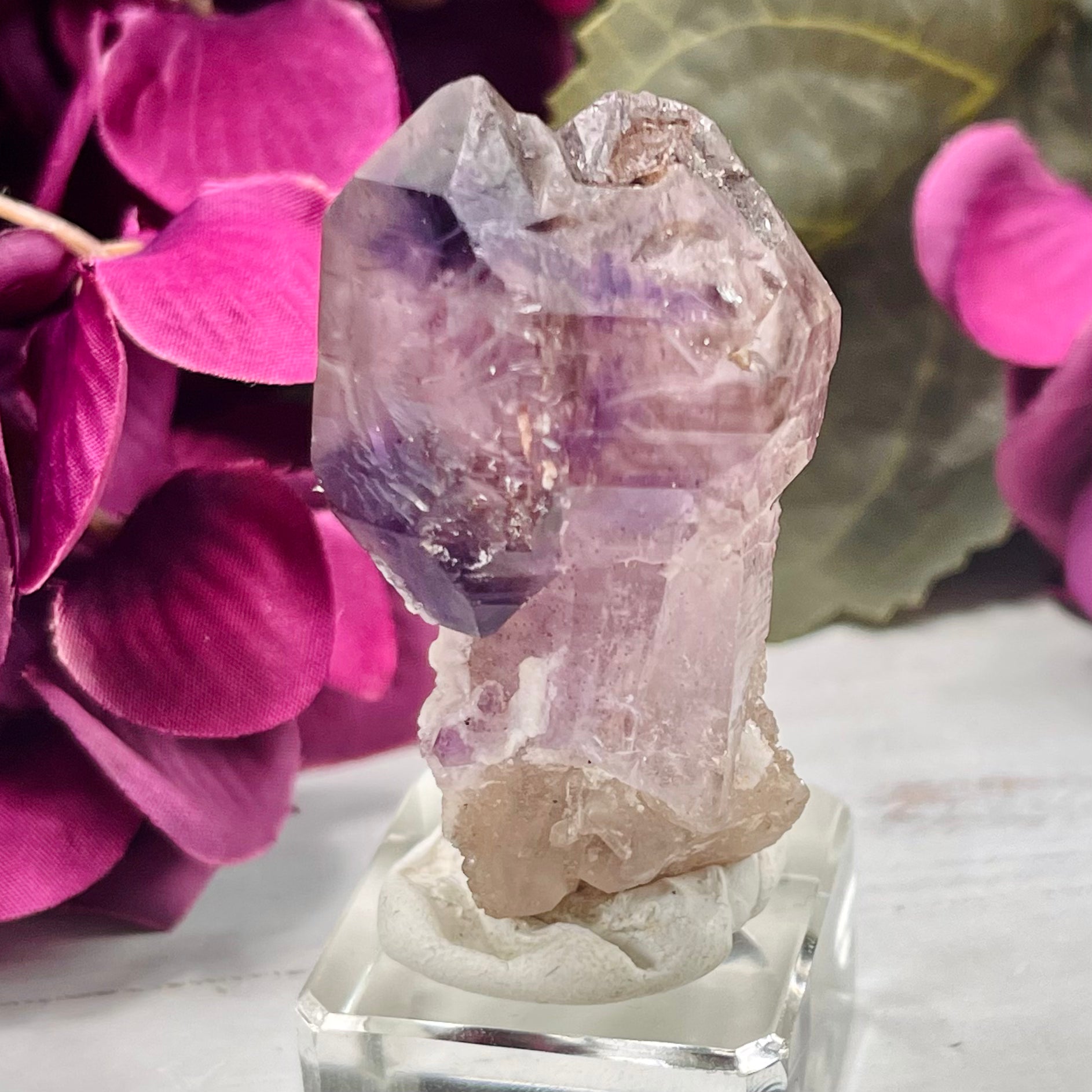 Shangaan Amethyst Scepter with Druse | SS23