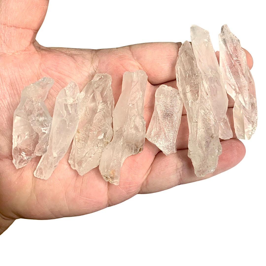 Lemurian Root (Small)
