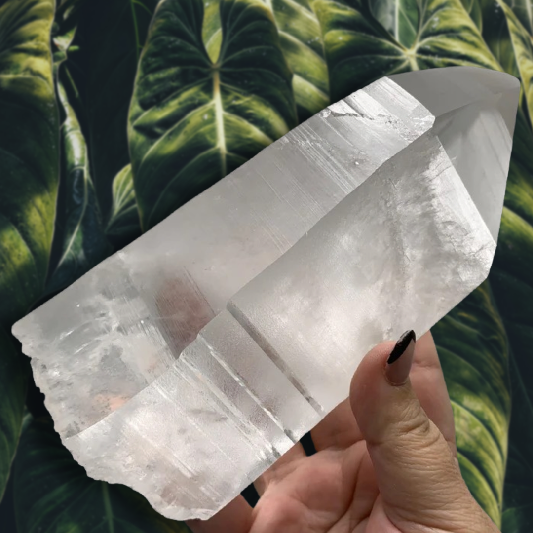 Corinto Lemurian CL8