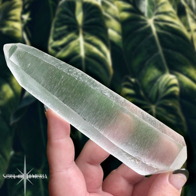 Beginners Guide to Lemurian Starseed Crystals