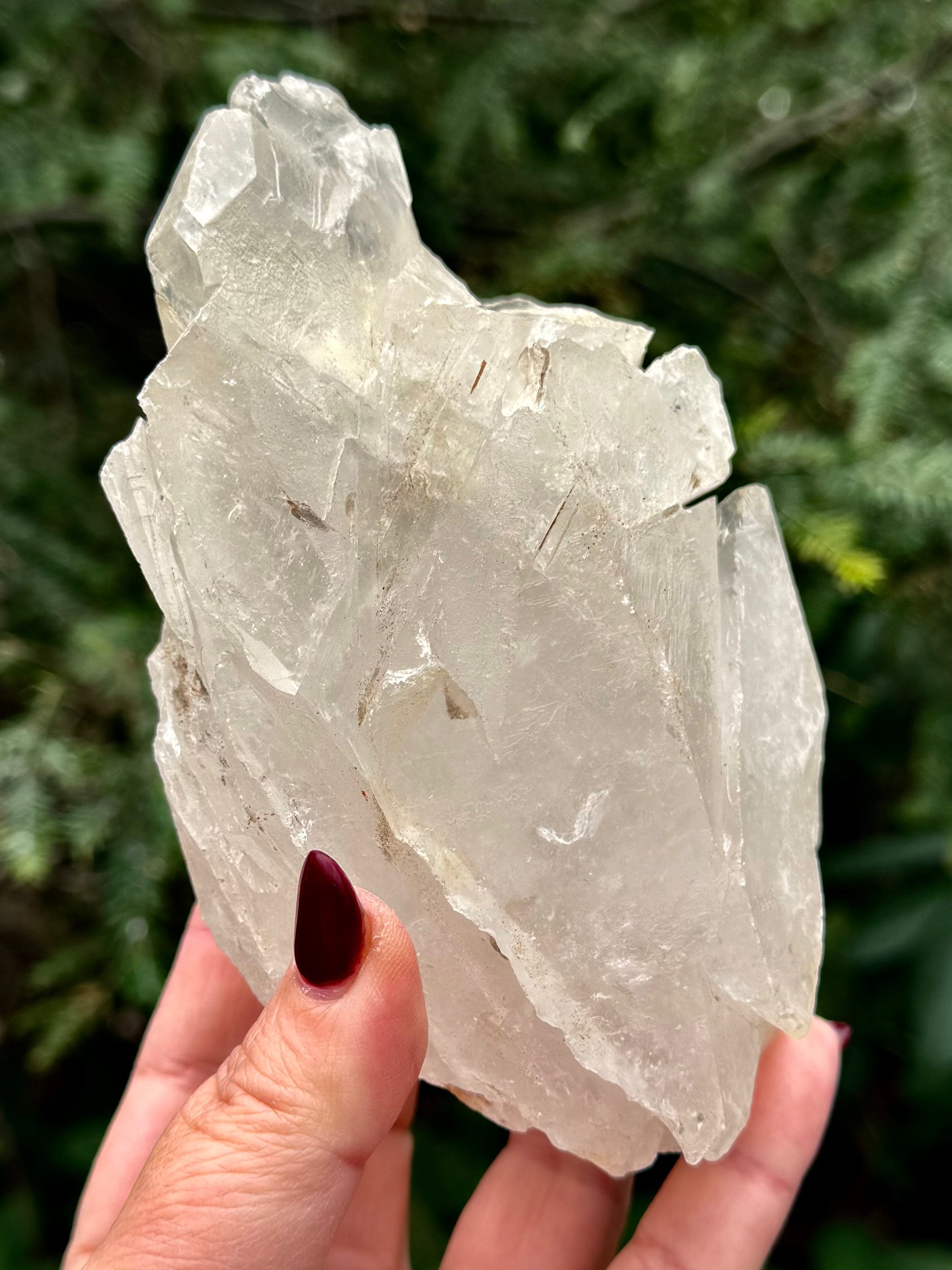 Growth Interference Quartz from the Tomás Gonzaga Mine