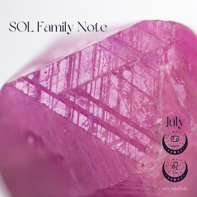 SOL Family Note July 2022