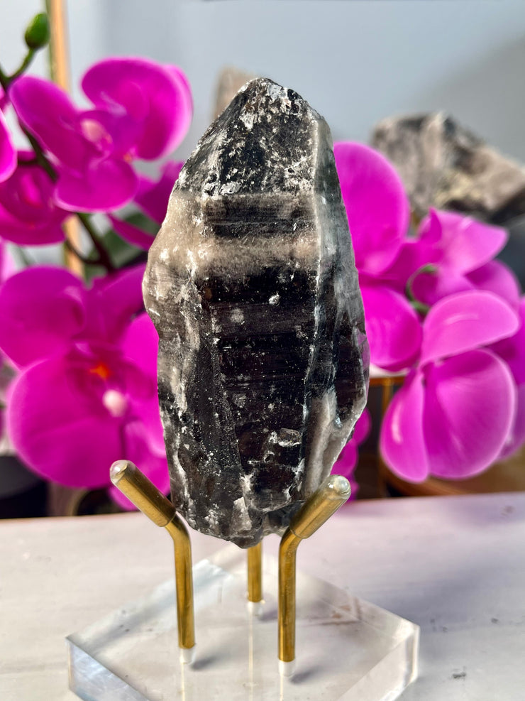 Morion Yin Yang Lemurian | Pearlesence | Self-Healed | Record Keepers | Y164