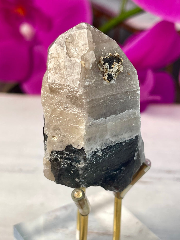 Morion Yin Yang Lemurian | Pearlesence | Self-Healed | Iron Inclusion | Y116