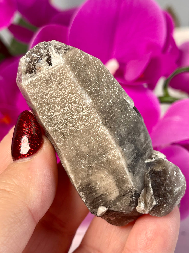 Morion Yin Yang Lemurian | Pearlesence | Record Keepers | Hydrothermal Etched Key | Y163