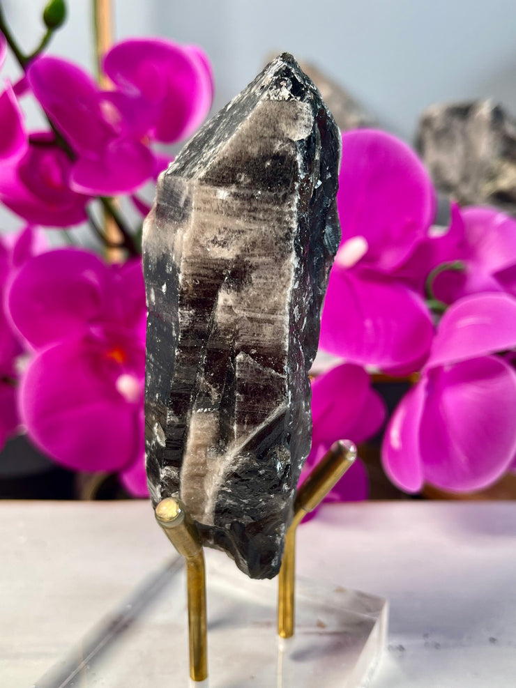 Morion Yin Yang Lemurian | Pearlesence | Self-Healed | Record Keepers | Y164