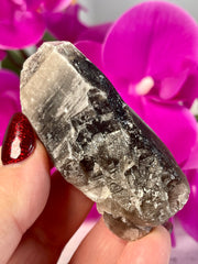 Morion Yin Yang Lemurian | Pearlesence | Record Keepers | Hydrothermal Etched Key | Y163
