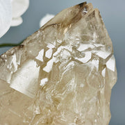 Elestial Quartz with Adaptogenic Citrine Core | EQ01