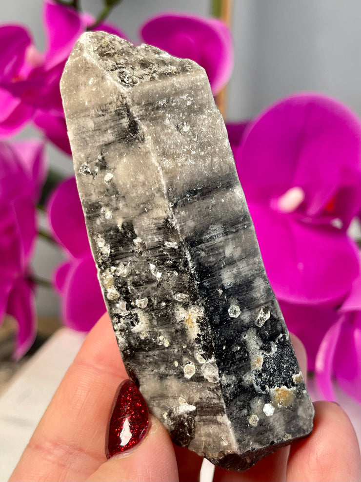 Morion Yin Yang Lemurian | Pearlescence | Diamond Mica Inclusion | Record Keepers |  Y303