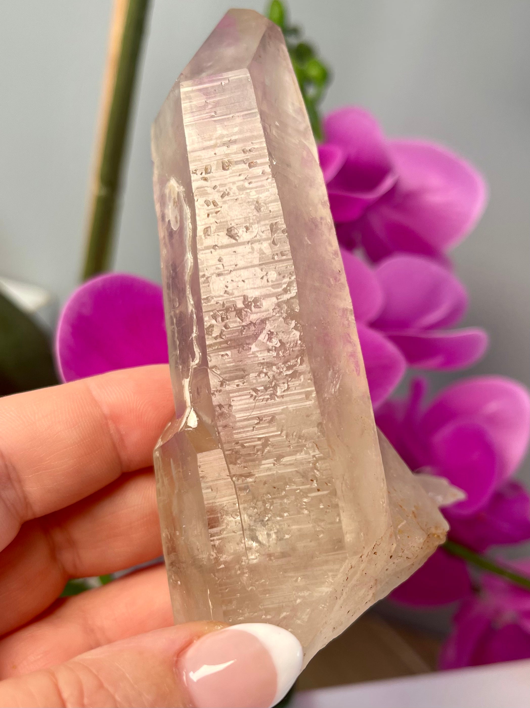 Etched Starbrary Lemurian | ET | S82