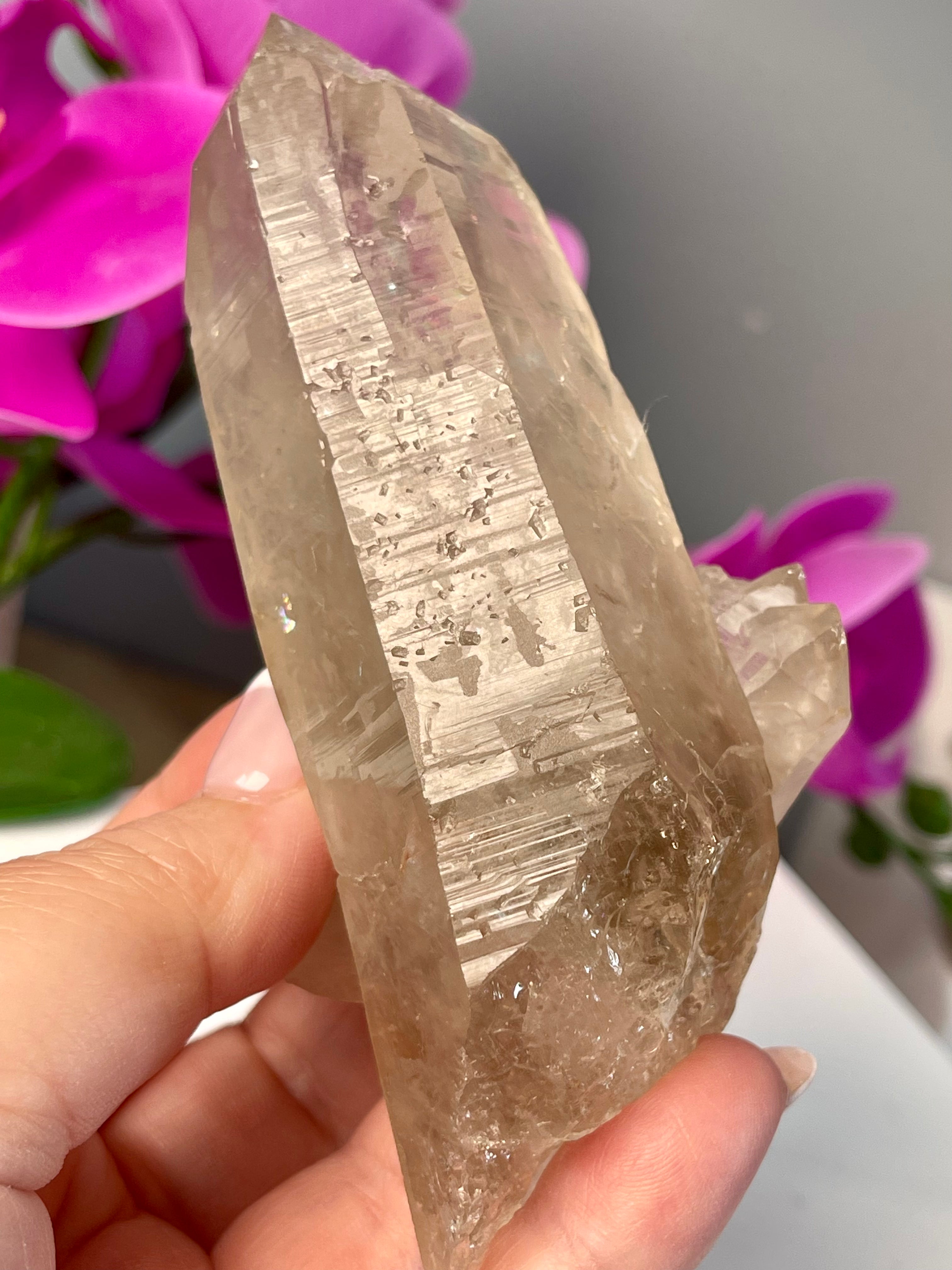 Etched Starbrary Lemurian | ET | Big Rainbow | S84