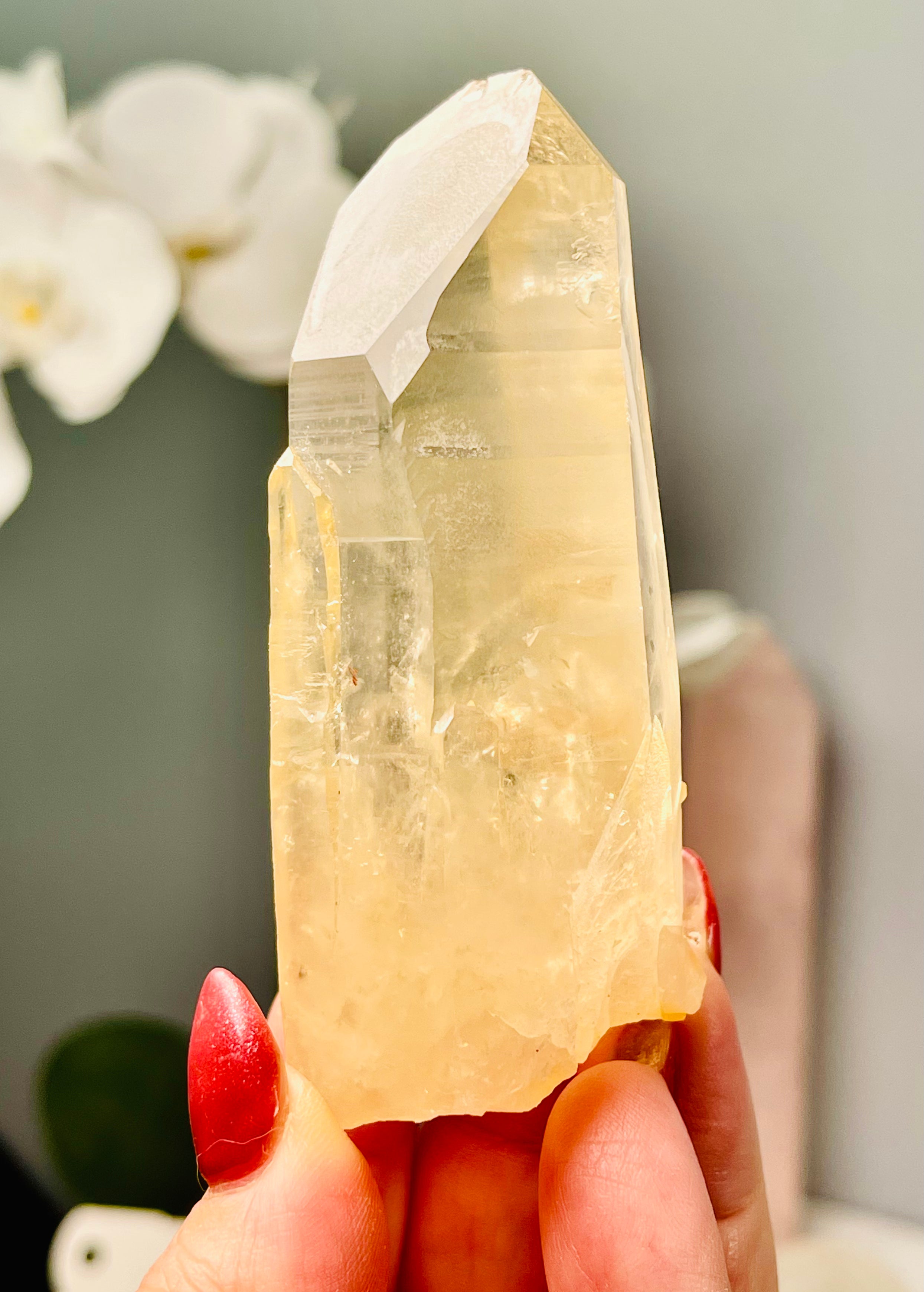 Golden Scarlet Temple Lemurian | Rare 8 Faceted Grounding | Starbrary | Inner Child | Self Standing |GSL6