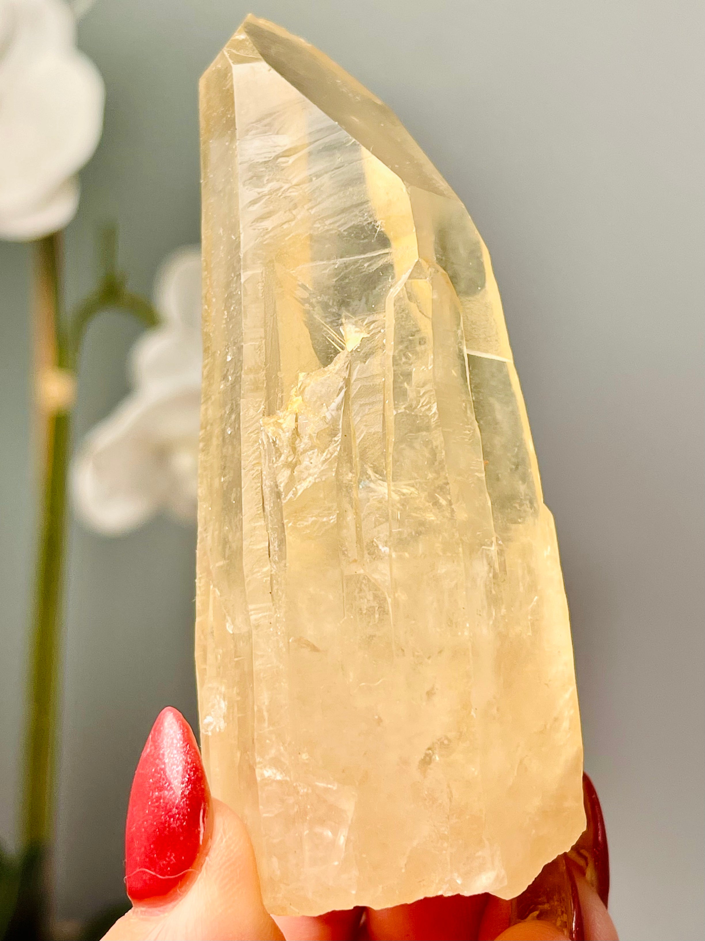 Golden Scarlet Temple Lemurian | Rare 8 Faceted Grounding | Starbrary | Inner Child | Self Standing |GSL6