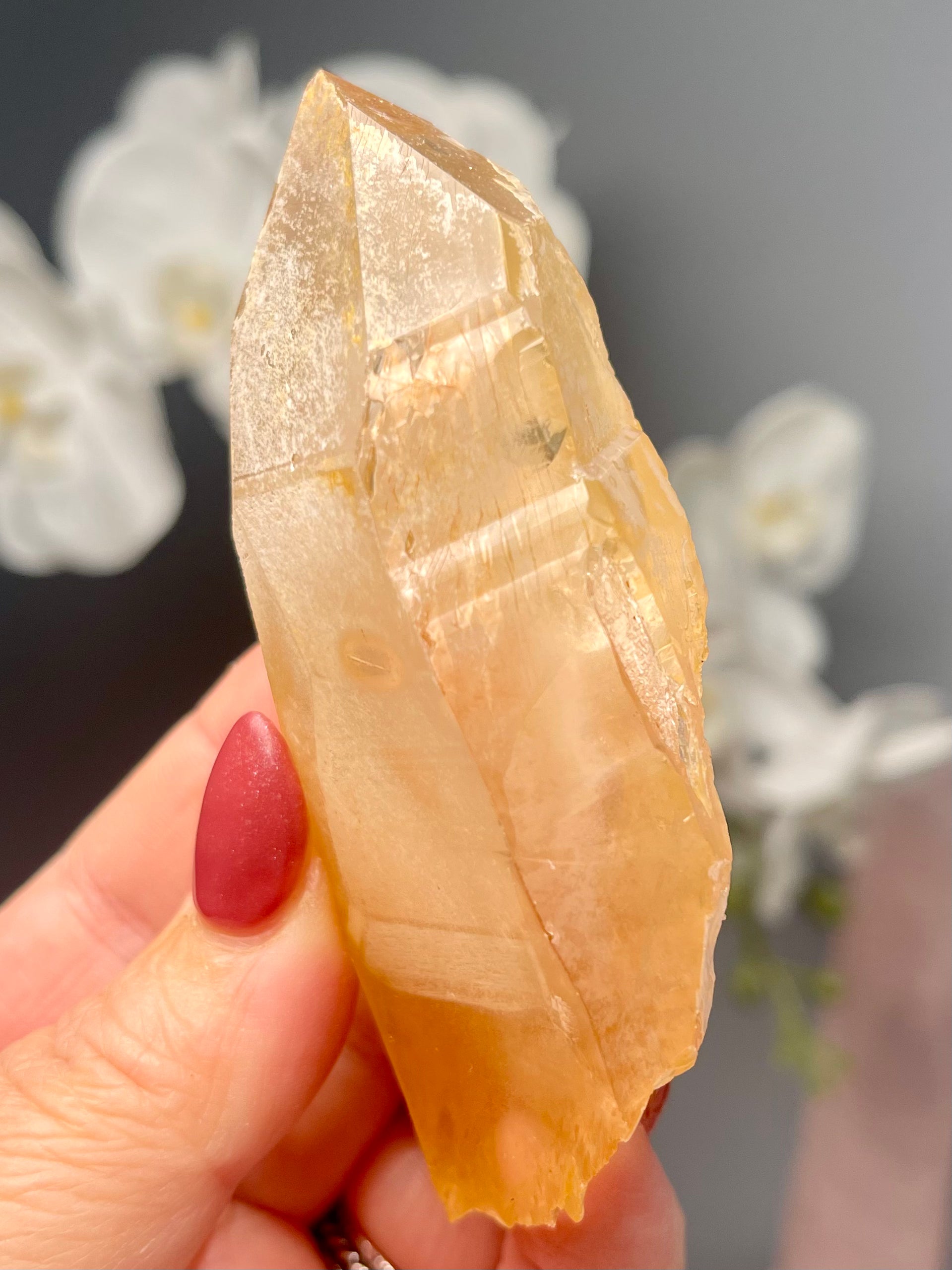 Golden Scarlet Temple Lemurian | Self Healed | GSL17