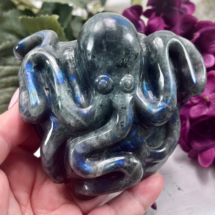 Labradorite Octopus Carving | OC13
