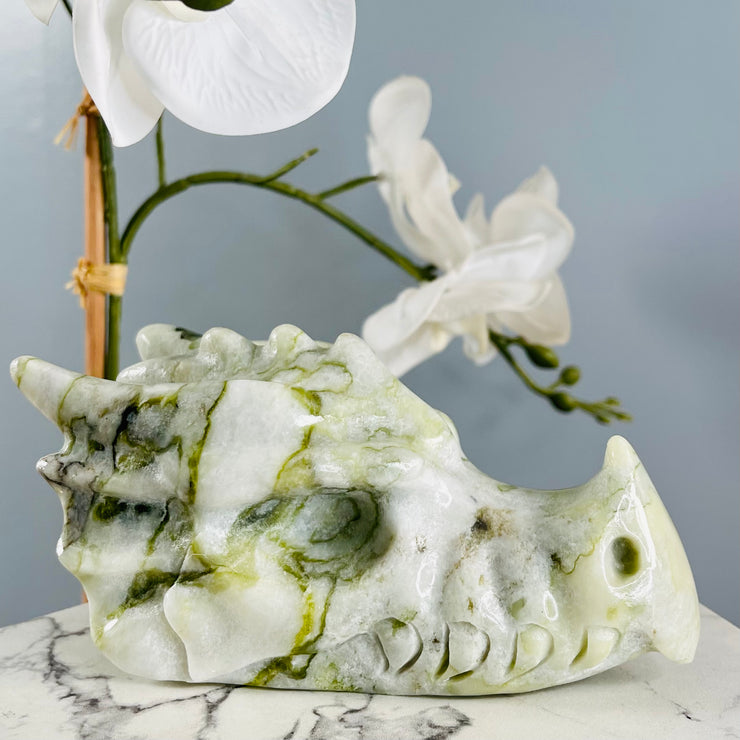 Jade Water Dragon Skull | 04