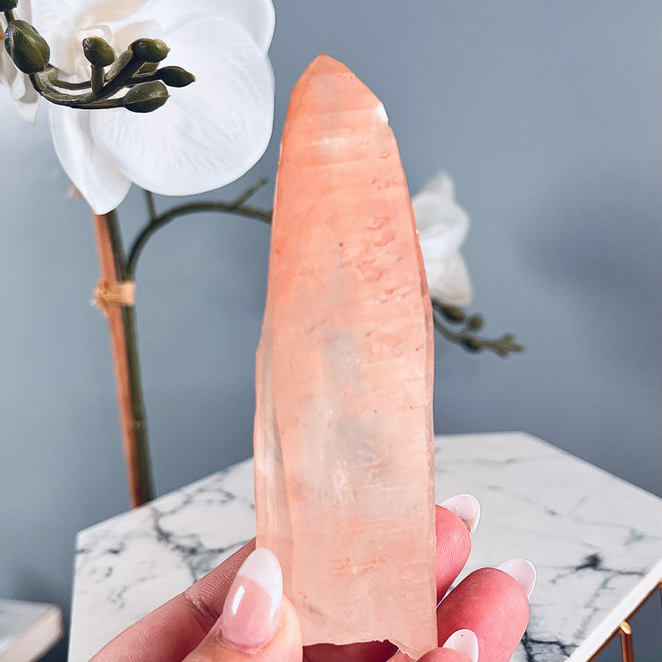Pink Lemurian | Starbrary Glyphs | P15