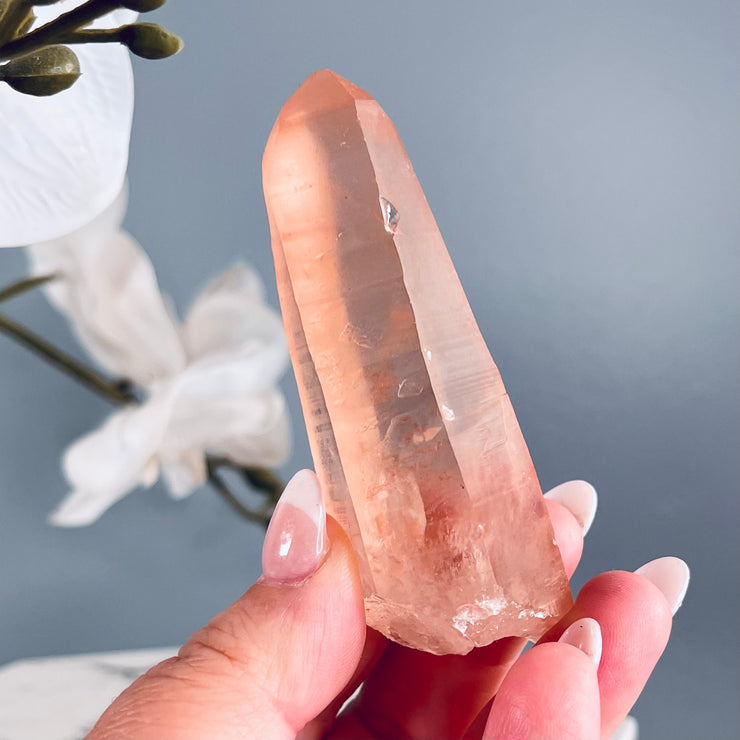 Pink Lemurian | Starbrary Glyphs | P10