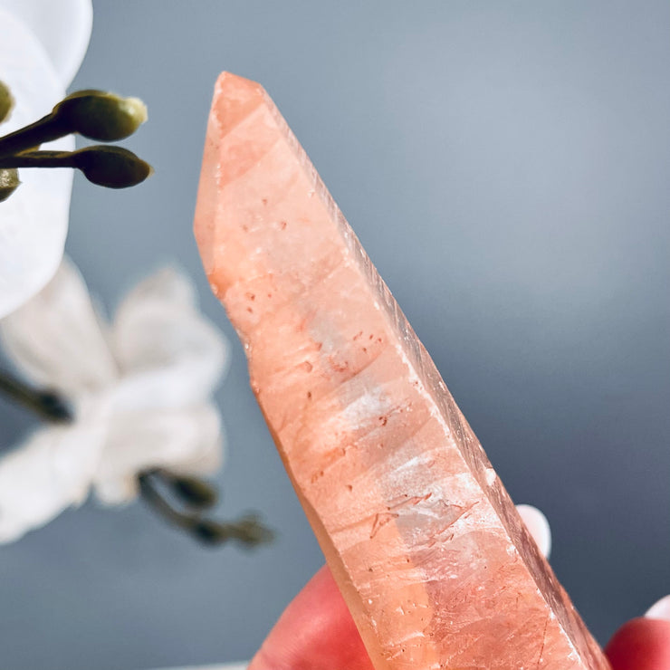 Pink Lemurian | Starbrary Glyphs | P4
