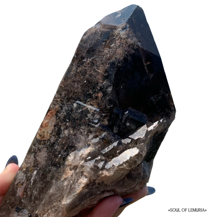"Big Mama" Polka Dot Lodolite Elestial with Rare Anatase
